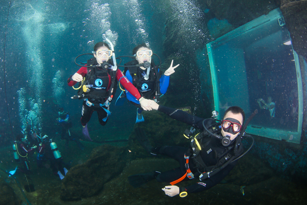 12/12正式上線！PADI 最新課程【休閑潛水員Resort Diver】 丨 一天拿證，潛遍全球