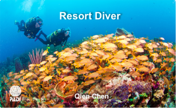 12/12正式上線！PADI 最新課程【休閑潛水員Resort Diver】 丨 一天拿證，潛遍全球