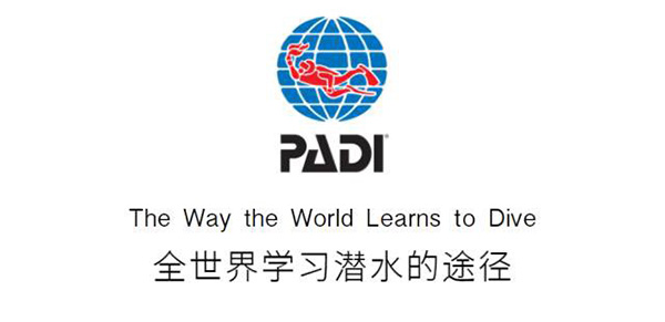 12/12正式上線！PADI 最新課程【休閑潛水員Resort Diver】 丨 一天拿證，潛遍全球