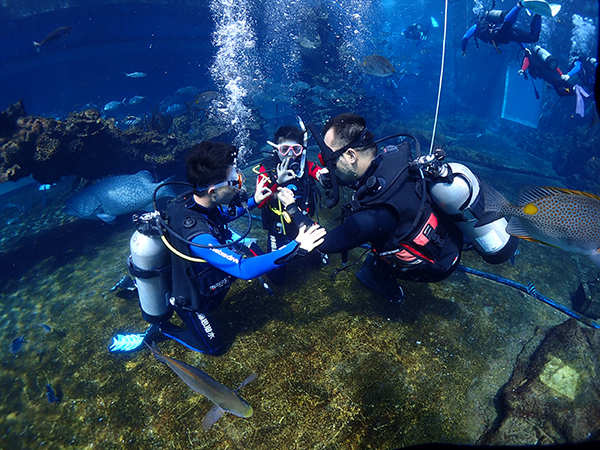 12/12正式上線！PADI 最新課程【休閑潛水員Resort Diver】 丨 一天拿證，潛遍全球